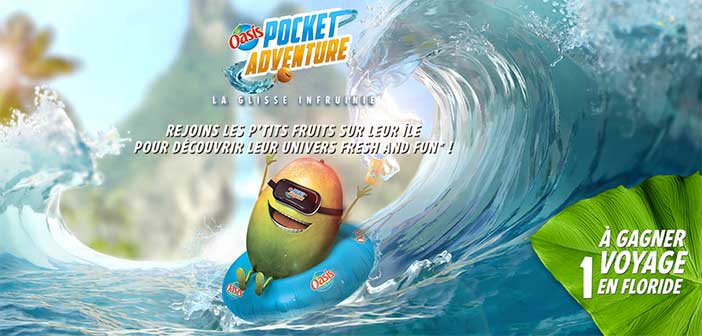 www.oasis-pocketadventure.com - Jeu Oasis La Glisse Infruinie