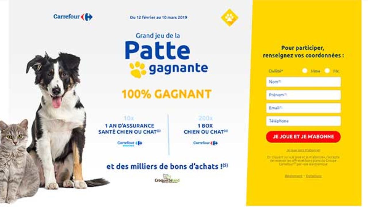 Www Carrefour Fr Grand Jeu De La Patte Gagnante Carrefour Bestofconcours